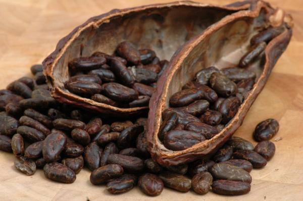 Cocoa 1
